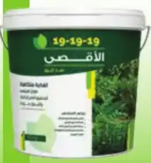 aqsa-19-19-19