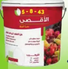 aqsa-5-8-43