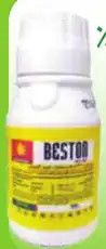 beston