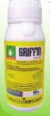 griffin