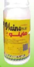 maino
